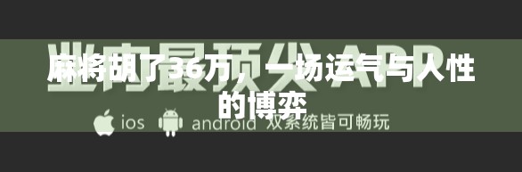 麻将胡了36万，一场运气与人性的博弈