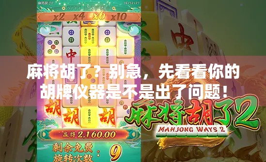 麻将胡了？别急，先看看你的胡牌仪器是不是出了问题！