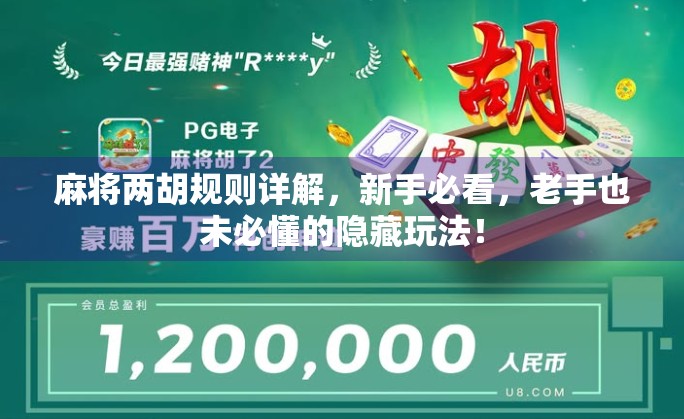 麻将两胡规则详解，新手必看，老手也未必懂的隐藏玩法！